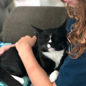 Meet your Posher, Riley